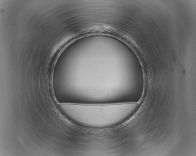 X0000063471018200601200950