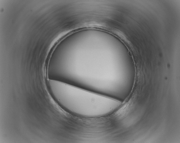 X0000063471032200601200950