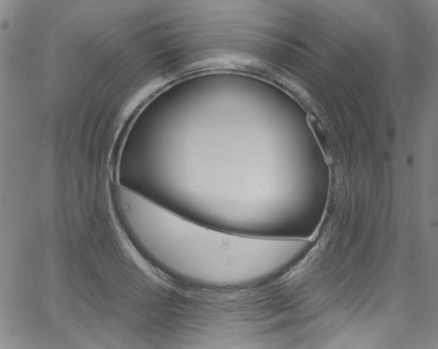 X0000063471034200601200950