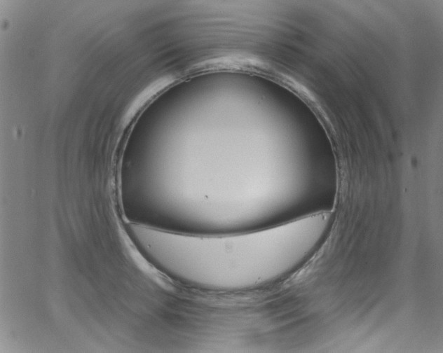 X0000063471042200601200950