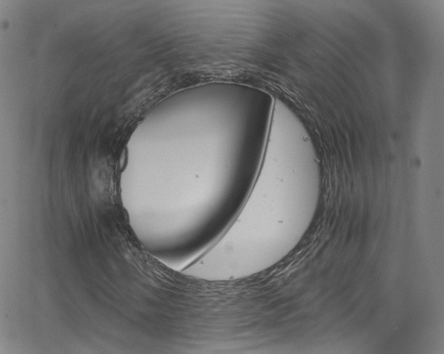 X0000063471058200601200949