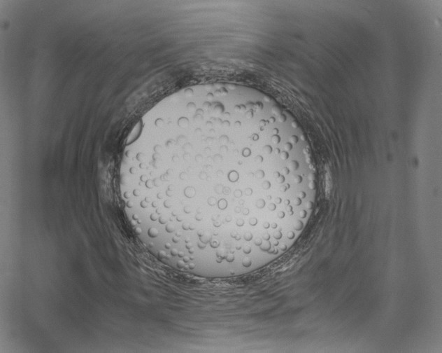 X0000063471059200601200949
