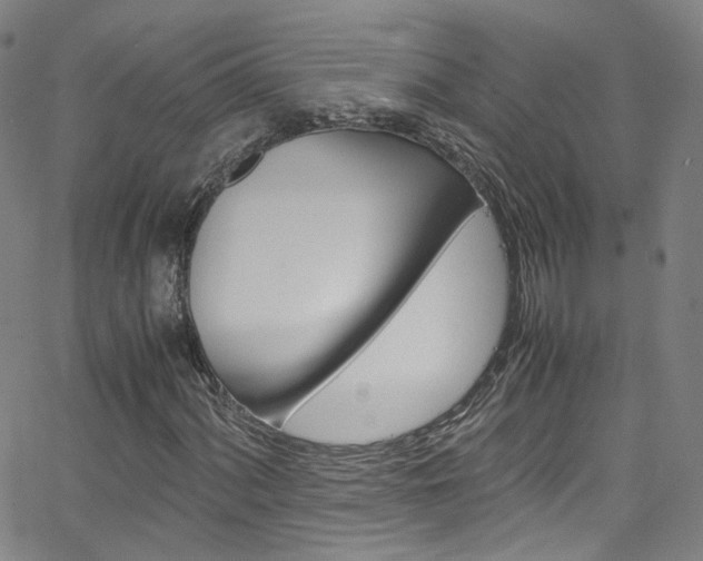X0000063471060200601200949