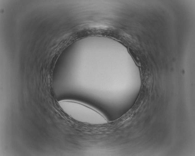 X0000063471061200601200949