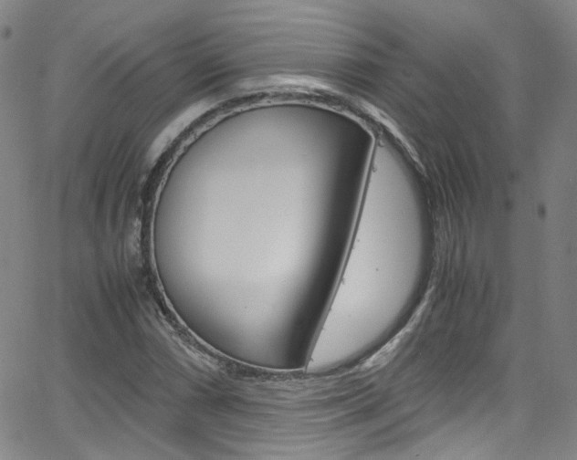 X0000063471066200601200949