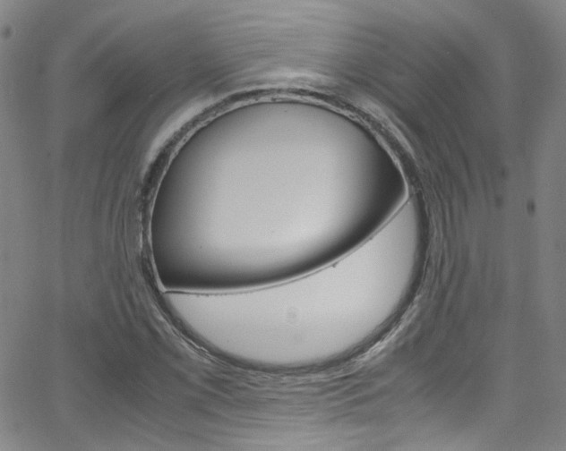 X0000063471069200601200949