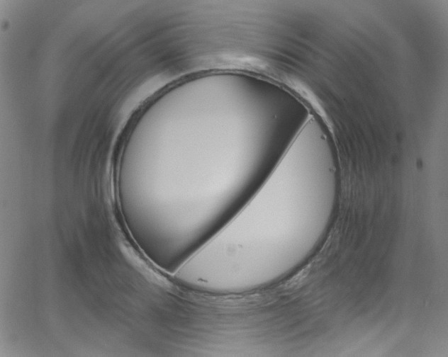 X0000063471080200601200949
