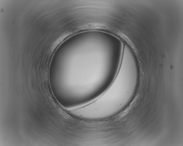 X0000063471081200601200949
