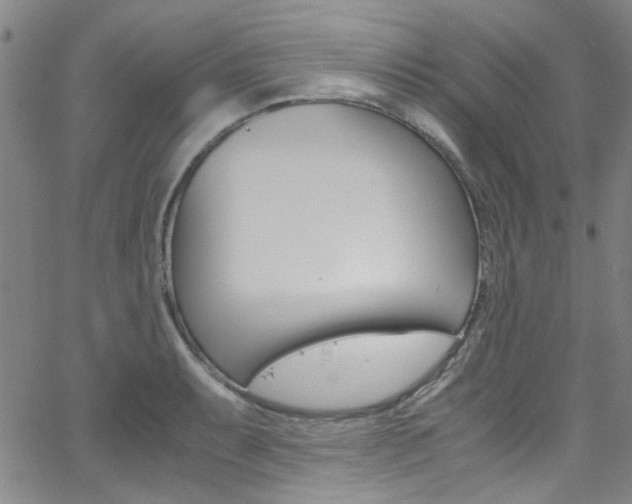 X0000063471087200601200949