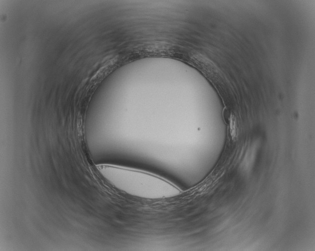 X0000063471107200601200948