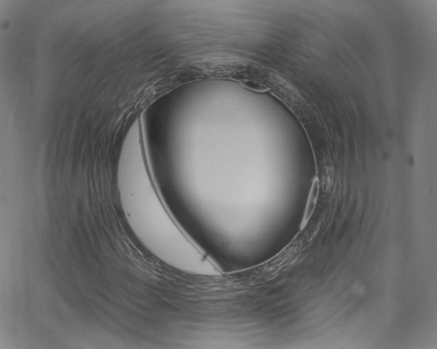 X0000063471108200601200948