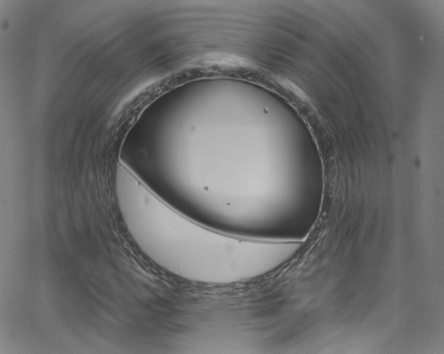 X0000063471112200601200948