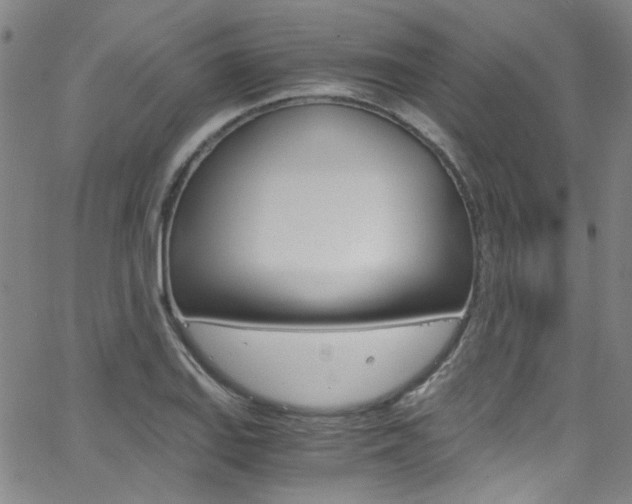 X0000063471127200601200948