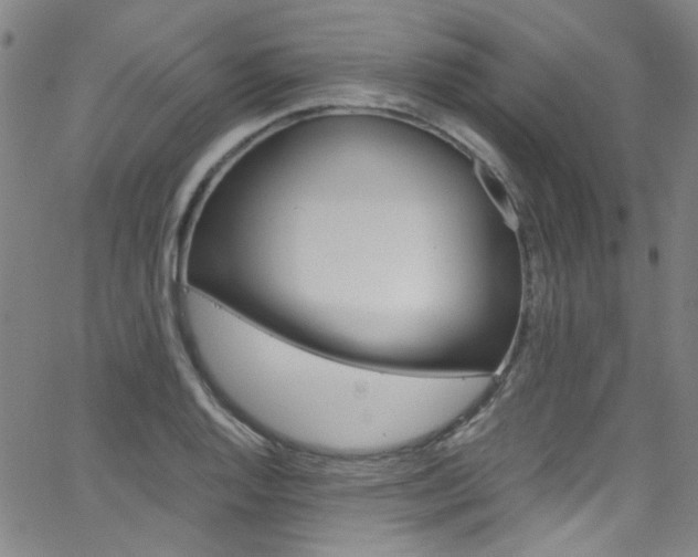 X0000063471128200601200948