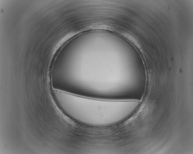 X0000063471133200601200948