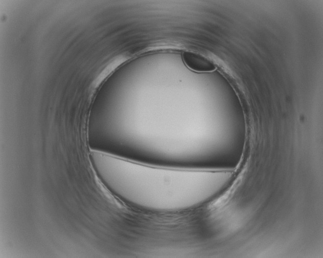 X0000063471137200601200948