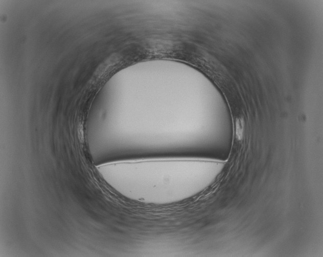 X0000063471155200601200948