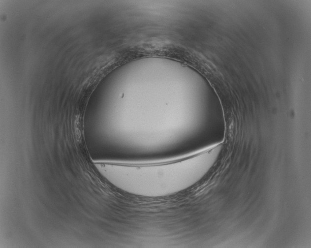 X0000063471156200601200948
