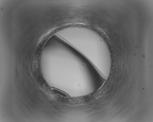 X0000063471159200601200948