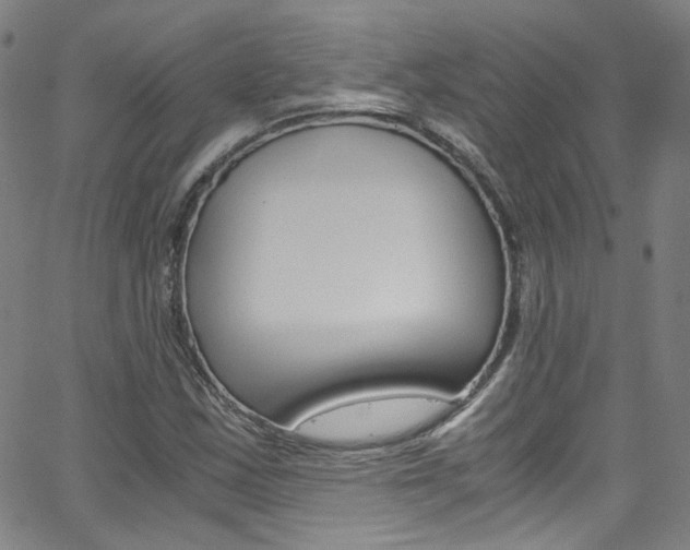 X0000063471163200601200948