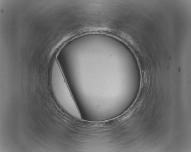 X0000063471165200601200948