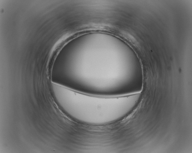 X0000063471172200601200948