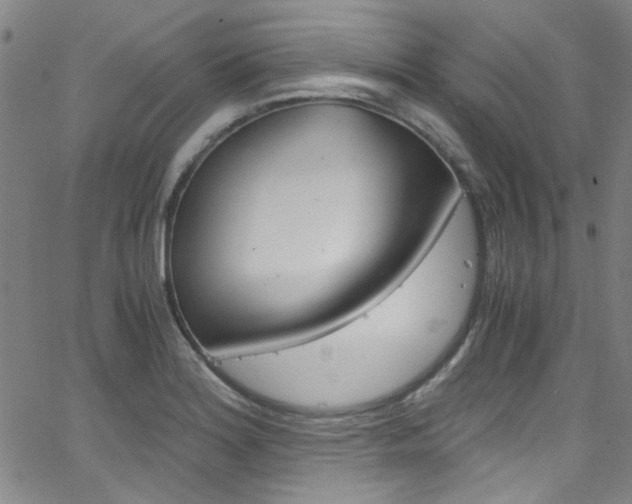 X0000063471180200601200947