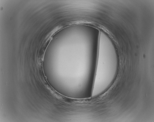 X0000063471185200601200947