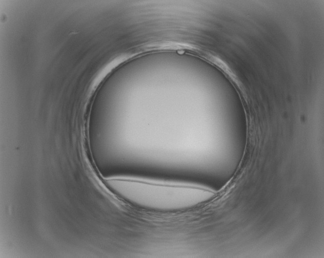 X0000063471187200601200947