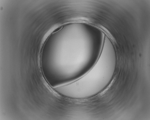 X0000063471196200601200947