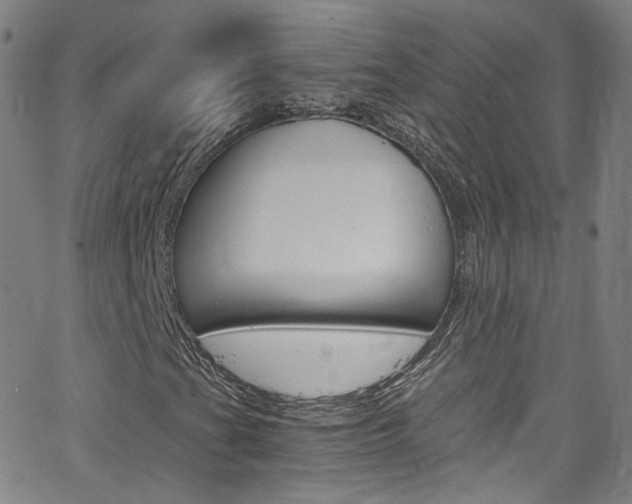 X0000063471201200601200946