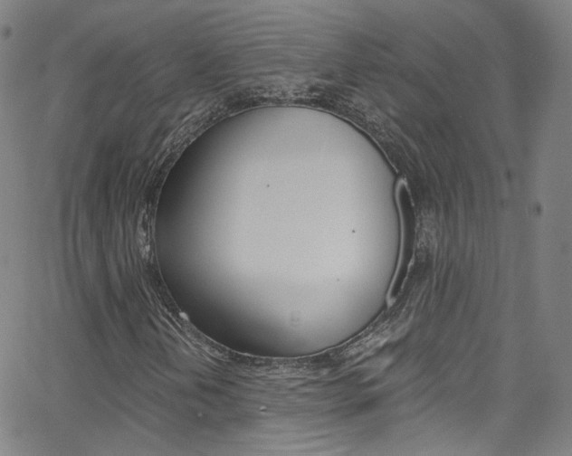 X0000063471202200601200946