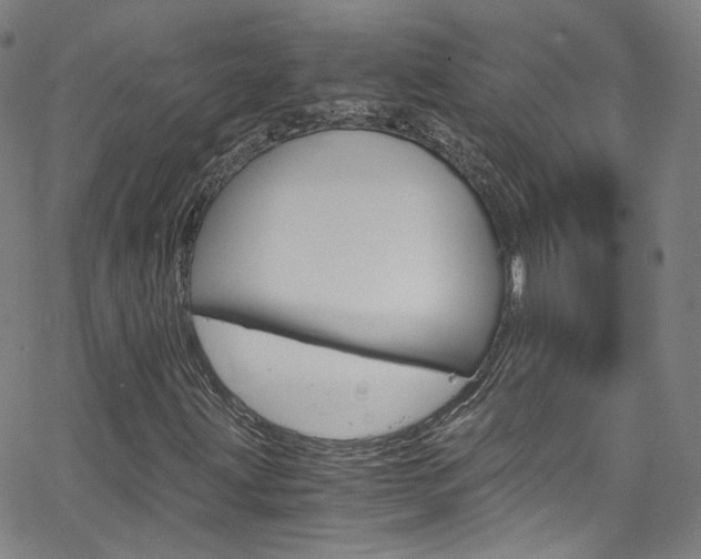 X0000063471203200601200946