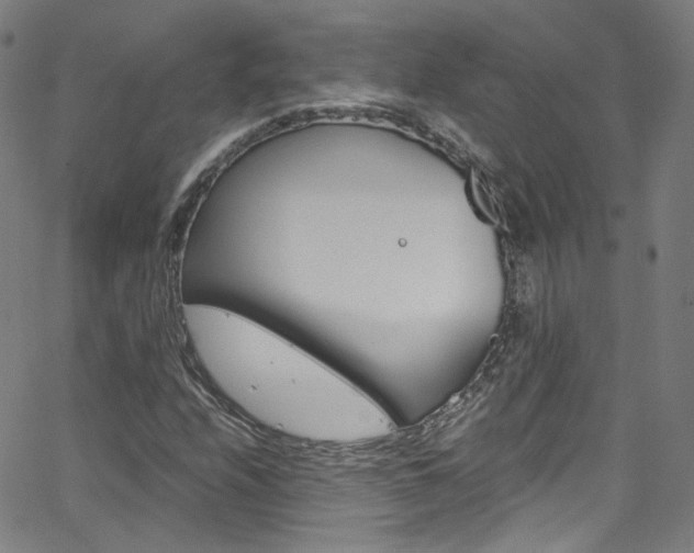 X0000063471208200601200946