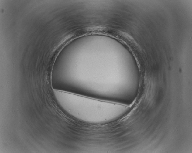X0000063471209200601200946