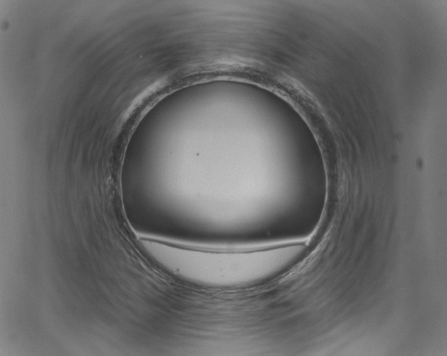 X0000063471210200601200947