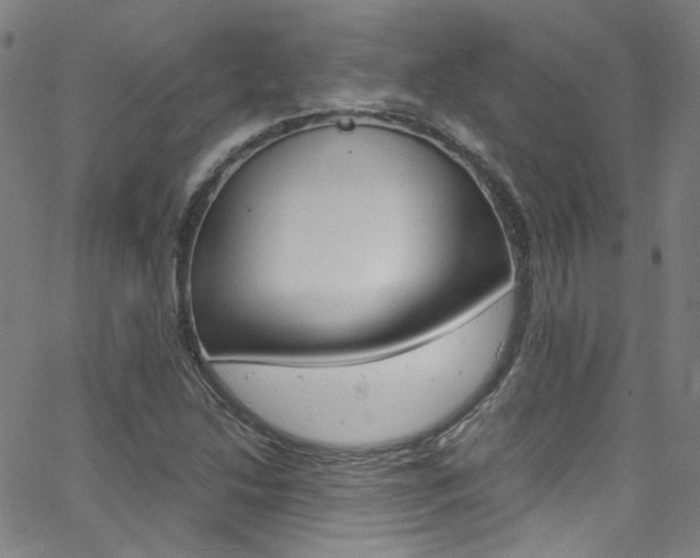 X0000063471214200601200947
