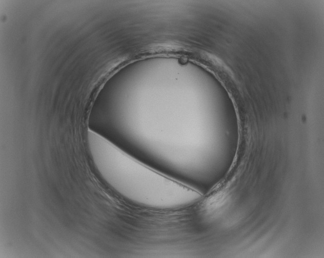 X0000063471217200601200947