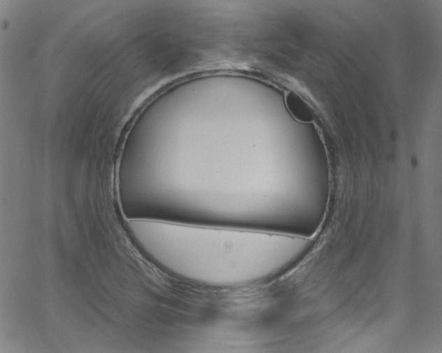 X0000063471220200601200947