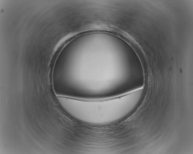 X0000063471222200601200947