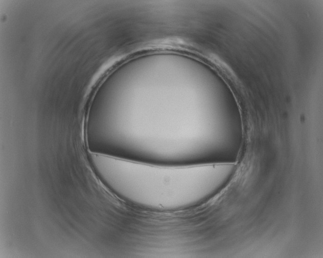 X0000063471224200601200947