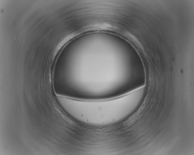 X0000063471226200601200947