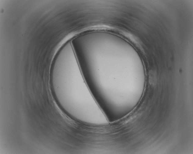 X0000063471229200601200947