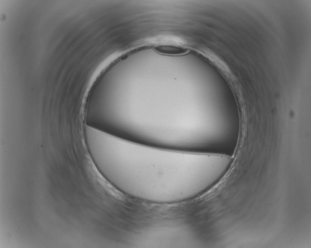 X0000063471248200601200947