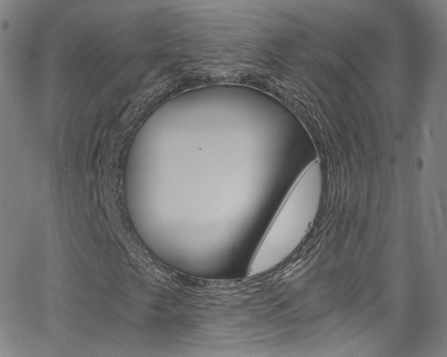 X0000063471249200601200946
