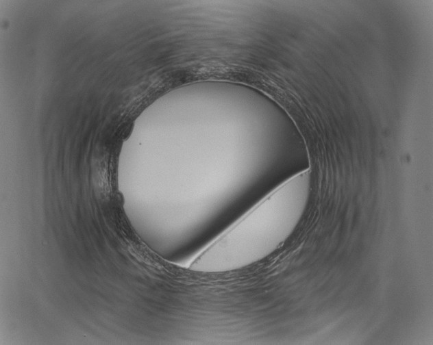 X0000063471250200601200946