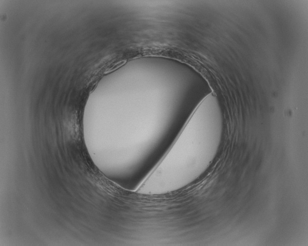 X0000063471252200601200946