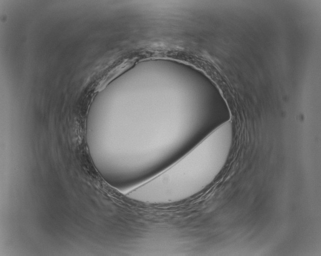 X0000063471253200601200946