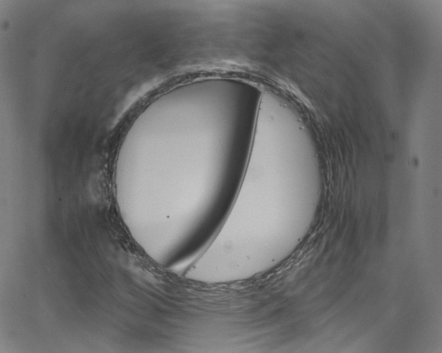 X0000063471256200601200946