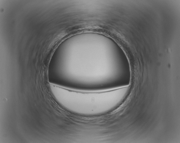 X0000063471257200601200946